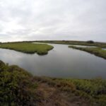 Ağızdan alınan xərçəng dərmanı aqressiv beyin şişlərinə qarşı ümidverici təsir göstərir