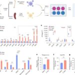 Qurdlar hissəcik süpürgəsi kimi: Ətraf mühitin nizamını zəka deyil, sadə hərəkət necə idarə edir