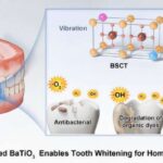 Qüdrətli mikroskopik liflər hüceyrə bölünməsinin və həyatın özünün açarıdır