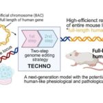 Məşhur dumanlıqda sirli dəmir “çubuq” tapıldı