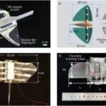 Klinik sınaqlar göstərir ki, qlükokortikoid inyeksiyası diz osteoartriti üçün az fayda göstərir