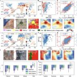 Tədqiqatçılar kövrək arxeoloji fil sümüyünü təhlil etmək üçün dağıdıcı olmayan spektrometriya texnikası hazırlayırlar