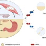 Kvant vakuumuna nəzər salmaq: Zərrəciklərin fırlanma korrelyasiyaları görünən maddənin “heç nədən” necə yarandığına dair məlumat verir.