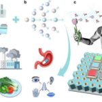 Dörd ayaqlı robotları sanki it kimi öyrətmək