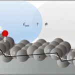 Qadın beynində qoruyucu mexanizm kəşf edildi: Söndürülmüş X xromosomu xəstəliyin şiddətini azaltmaq üçün yenidən aktivləşə bilər