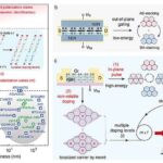 Məsaməli material CO₂-u dəfələrlə saxlamaq və buraxmaq üçün yaşıl və mavi işıqdan istifadə edir