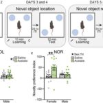 Qlobal vərəm böhranı ilə mübarizə: Yeni antibiotik sinfi ümid verir
