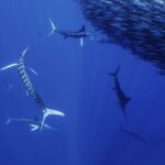 Süni intellektdən istifadə edərək sintezi çətin olan materiallar yenidən canlandırılıb: LLM əsaslı materialların yenidən dizayn texnologiyası