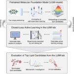 İşıq beyin kimi “düşünəndə”: Fotonlar və süni yaddaş arasındakı əlaqə