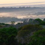 Kəsrli Çern izolyatorunda kəsr yüklərini araşdırmaq üçün işıqdan istifadə