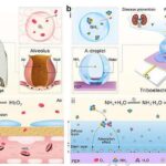 Sehrli ədədlərin mənşəyi: Niyə bəzi atom nüvələri qeyri-adi dərəcədə sabitdir