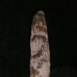 Kəllə parçaları İberiya kəsilmiş baş ritualının sərhədlərini genişləndirir