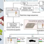 Tək DMT dozası siçanlarda stressdən qaynaqlanan depressiyanı Prozakdan daha təsirli şəkildə müalicə edir