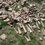 Bennu asteroidində kəşf edilən həyat blokları mənşə hekayəsini yenidən yazır