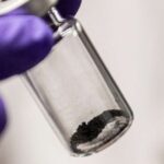 Böyük Düzənliklərdə aparılan araşdırmaya görə, bizon ovçuları dəyişən iqlimə uyğunlaşmaq üçün 1100 il əvvəl uzun müddət istifadə edilən əraziləri tərk ediblər.