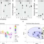 Yeni atlas, yaşlanmanın bütün məməli bədənindəki hüceyrələri necə dəyişdirdiyini xəritələşdirir