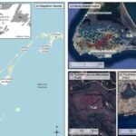 Kvant effekti batareyasız cihazların növbəti nəslini gücləndirə bilər