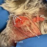 Elektron sürtünmə tənzimlənə və söndürülə bilər