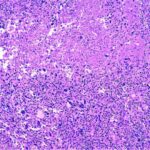 Təcrübələr göstərir ki, “artır” çərçivəsi tədqiqat nəticələrini daha böyük və daha vacib göstərir