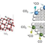 Qlobal araşdırma göstərir ki, meşələrin itirilməsi su hövzələrini “daha sızan” hala gətirə bilər