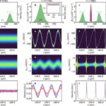 Tədqiqat göstərir ki, hüceyrələr endoplazmatik retikulumu aktiv şəkildə yenidən quraraq yaşlanmaya uyğunlaşır