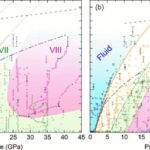 Tədqiqat göstərir ki, hüceyrələr endoplazmatik retikulumu aktiv şəkildə yenidən quraraq yaşlanmaya uyğunlaşır