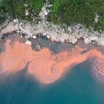 Daha böyük payı götürərdinizmi? Araşdırma göstərir ki, insanlar “yox” deməyi öyrənə bilərlər