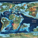 Yastıayaqlı, dayaz T. rex-i unudun. Yeni tədqiqatlar göstərir ki, o, ayaq uclarında gəzirdi