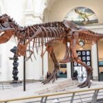 2D memristorlar süni intellektdə enerji problemini həll etməyə kömək edə bilər