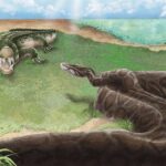 Gənc bir kainatdakı köhnə qalaktikalar?