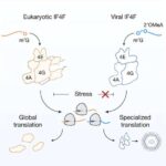 Aydakı super stabil lazer gələcək ay missiyalarına istiqamət verə və zaman ölçməmizi təkmilləşdirə bilər