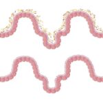 HİV antikorları peyvəndin hazırlanması və kombinasiyalı terapiya üçün yeni yanaşmalar açır