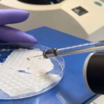 Probiotiklər sizin üçün işləyəcəkmi? Modellər bağırsaq metabolizmasını xəritələşdirərək uğuru proqnozlaşdırır