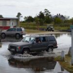 Ən qədim quşların ağzının damındakı mürəkkəb dil sümükləri və ətli dişlər onun qidanı tutmasına kömək etmiş ola bilər.