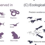 Kölgələrin deşifrə edilməsi: Nəqliyyat vasitələrinin tanınması proqramı qeyri-adi yol hərəkəti davranışını aşkar edir
