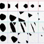Qadın alimlər həyat və biotibbi elmlər sahəsində məqalələrinin dərc olunmasını daha uzun müddət gözləyirlər