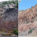 Süni intellekt həmyaşıdların rəylərinin keyfiyyətini necə artıra bilər