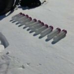 Açıq girişli proqram təminatı tədqiqatçılara saxta jurnalları aşkar etməyə kömək edir