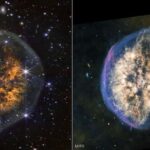 Tək gözlü bir məxluq müasir gözlərimizi necə yaratdı