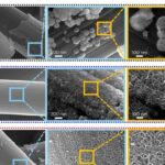 Çənələri yalnız insanlarda olur: Araşdırma göstərir ki, bu, təkamül qəzasıdır