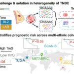 Hazır komponentlər yerləşdirməyə hazır kvant dolaşıqlığı mənbəyini təmin edir