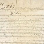 Sinir qabığı hüceyrələri: Embrion orqanlarını kolonizasiya edən miniatür elektrik əzələləri