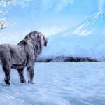 Bir genom iki fərqli göbələk cismini necə yaradır