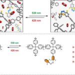 Çöküntü nüvələri göstərir ki, Antarktida buzlarının əriməsi qlobal okean dövranını dəyişdirə bilər