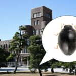 Cənubi Afrika sahillərində fosil ovçuları 132 milyon illik dinozavr ayaq izləri aşkar ediblər