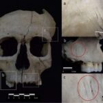 Niyə supermarketlər təzə yeməkləri qabağa qoymaqla daha çox sata bilərlər