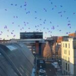 Yeni alət Yer müşahidə peykləri üçün toqquşma riskini azalda bilər