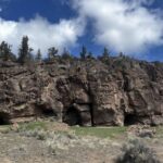 Fosil kəşfi nəhəng pitonların bir vaxtlar Tayvanda gəzdiyini göstərir