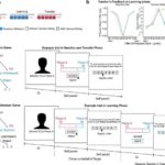 Mikroskopik plankton Aralıq dənizinin tropikləşməsini aşkar edir