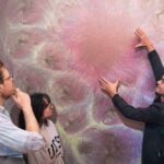 Arıçılara daha effektiv müalicə üsulları ilə gənələrlə mübarizə aparmaqda kömək etmək